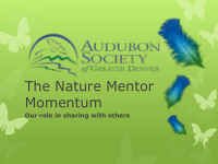 the nature mentor momentum