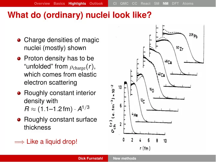 what do ordinary nuclei look like