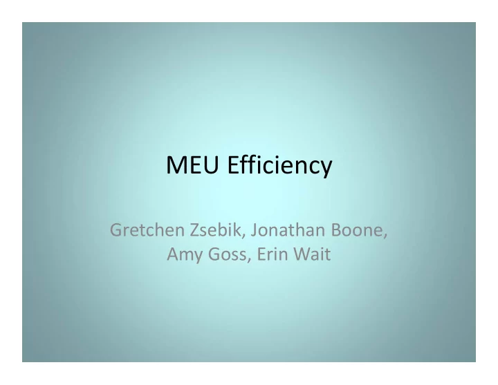 meu efficiency