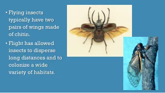 typically have two  pairs of wings made  of chitin.  Flight has allowed  insects to disperse