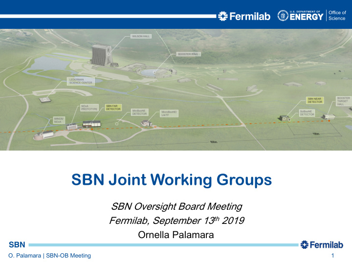 sbn joint working groups