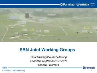 SBN Joint Working Groups  SBN Oversight Board Meeting Fermilab, September 13 th 2019  Ornella