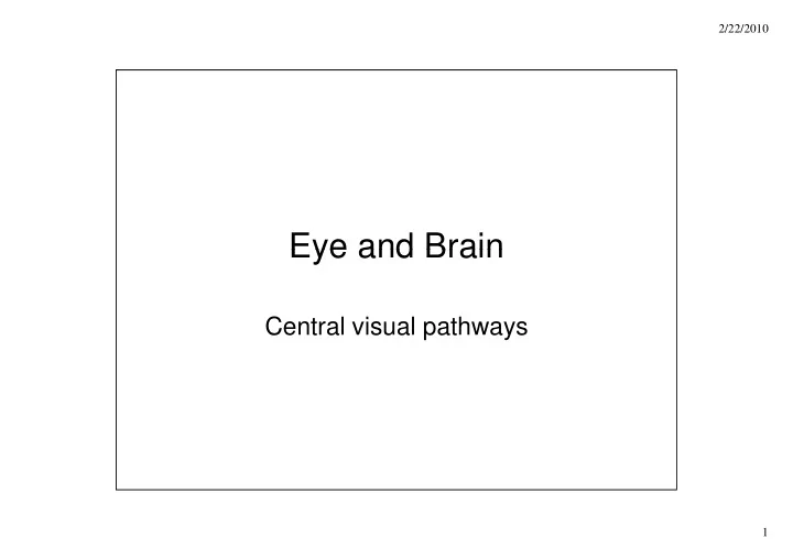 eye and brain eye and brain