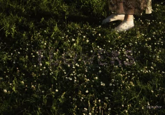 By author  What Is  Is Th  The Topic About And Why I  I Chose It  It  For my Final major project I