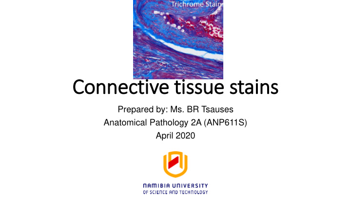 connective tissue stains
