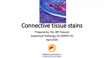 Connective tissue stains  Prepared by: Ms. BR Tsauses  Anatomical Pathology 2A (ANP611S)  April