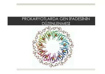 PROKARYOTLARDA GEN  FADES  N  N DZENLENMES   (Kaynak: Genetik Kavramlar, Prof. Dr. Bekta