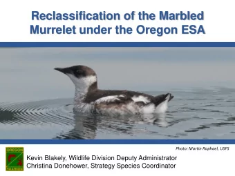 Murrelet under the Oregon ESA  Photo: Martin Raphael, USFS  Kevin Blakely, Wildlife Division Deputy