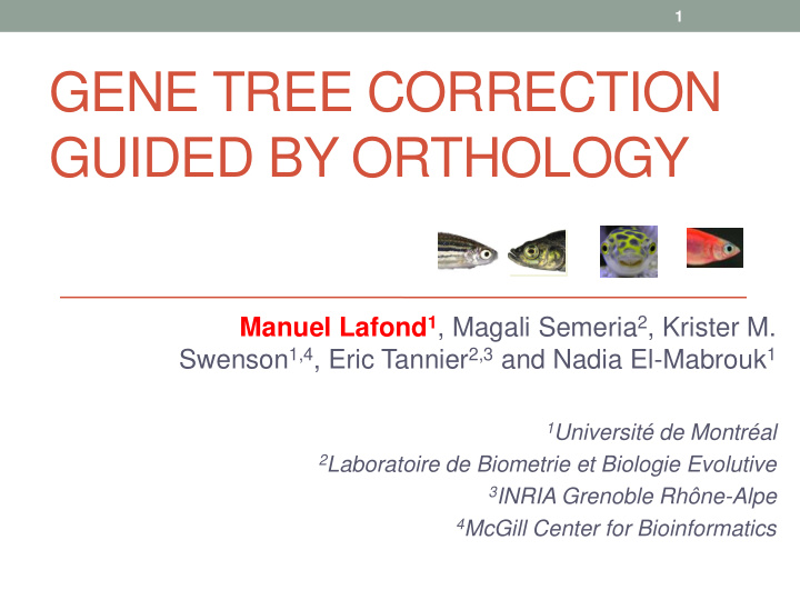 gene tree correction