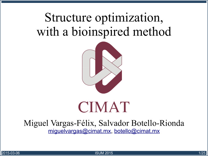 structure optimization with a bioinspired method