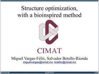 Structure optimization,  with a bioinspired method  Miguel Vargas-Flix, Salvador Botello-Rionda