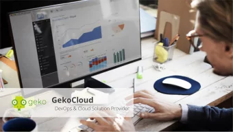 GekoCloud  DevOps &amp; Cloud Solution Provider  Who we are?  The cloud consulting that you need