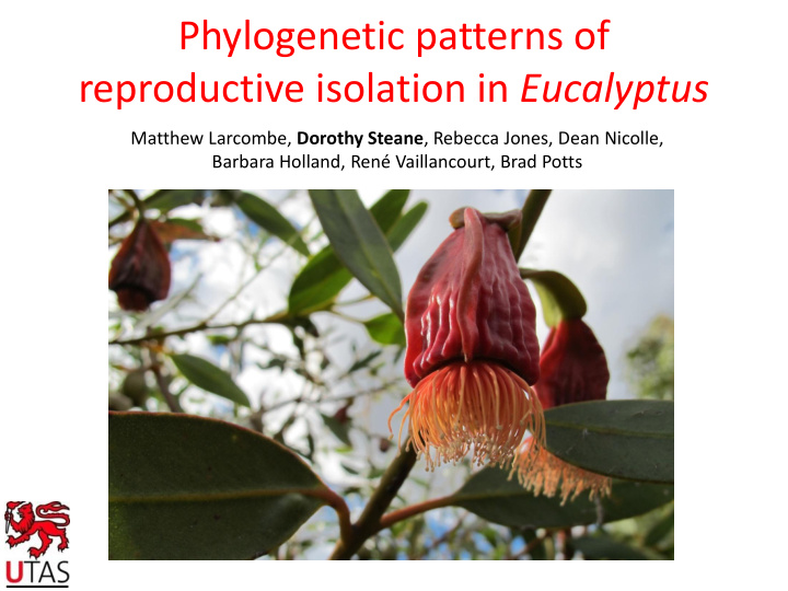 reproductive isolation in eucalyptus