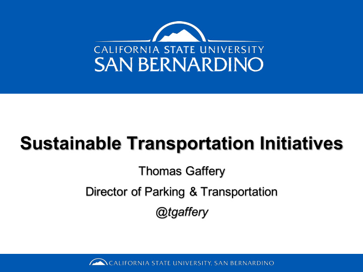 sustainable transportation initiatives