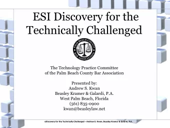 ESI Discovery for the  Technically Challenged  The Technology Practice Committee  of the Palm Beach