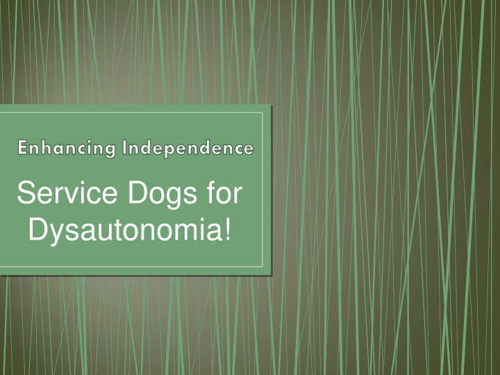 service dogs for dysautonomia