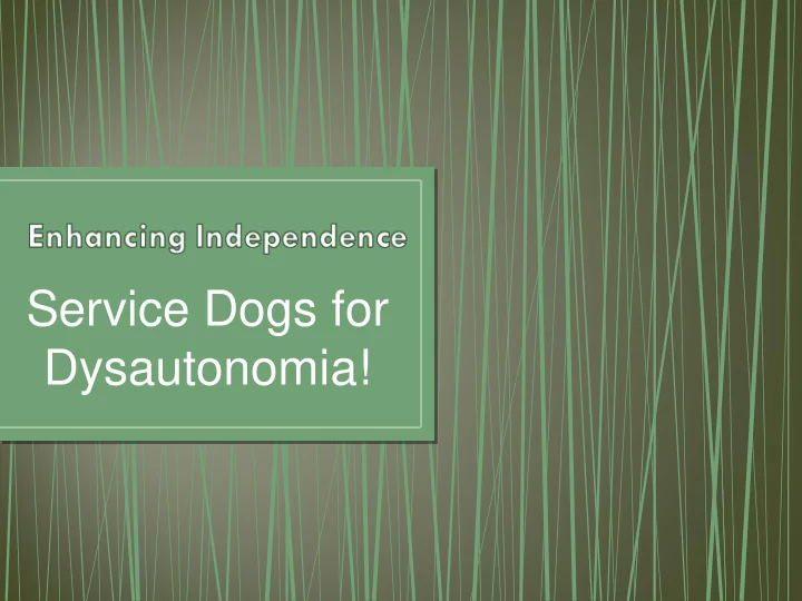 service dogs for dysautonomia