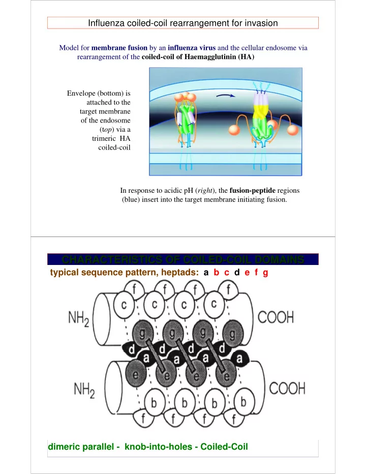characteristics of coiled coil domains coil domains