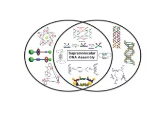 Double stranded helicates  metal  binding domain  bridge  substitution pattern  Double helicates