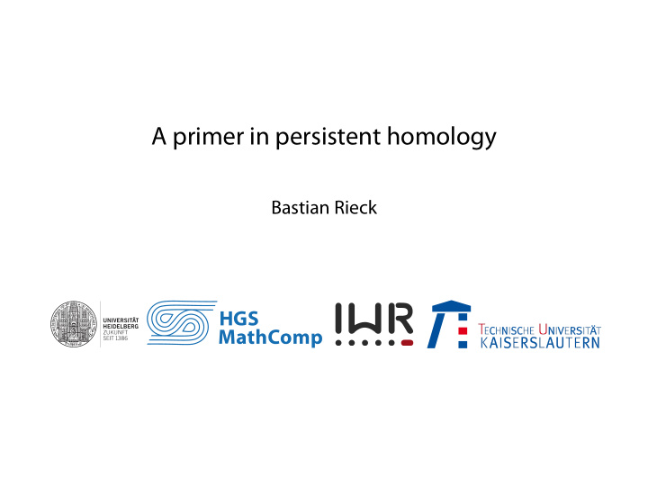 a primer in persistent homology