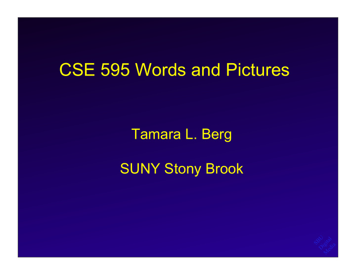 cse 595 words and pictures