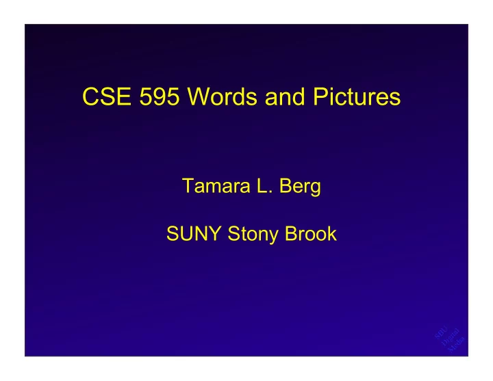 cse 595 words and pictures