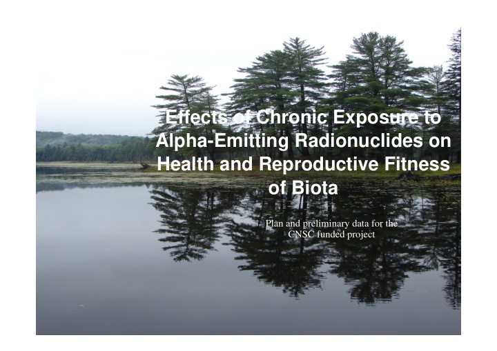effects of chronic exposure to alpha emitting
