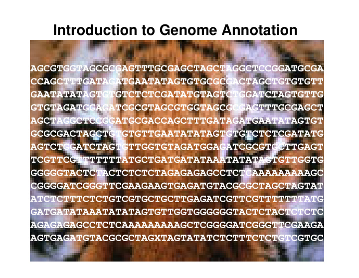 introduction to genome annotation