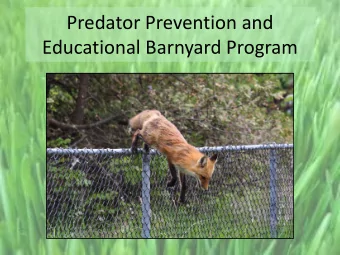 Predator Prevention and  Educational Barnyard Program  Purpose  To reduce wildlife injury and