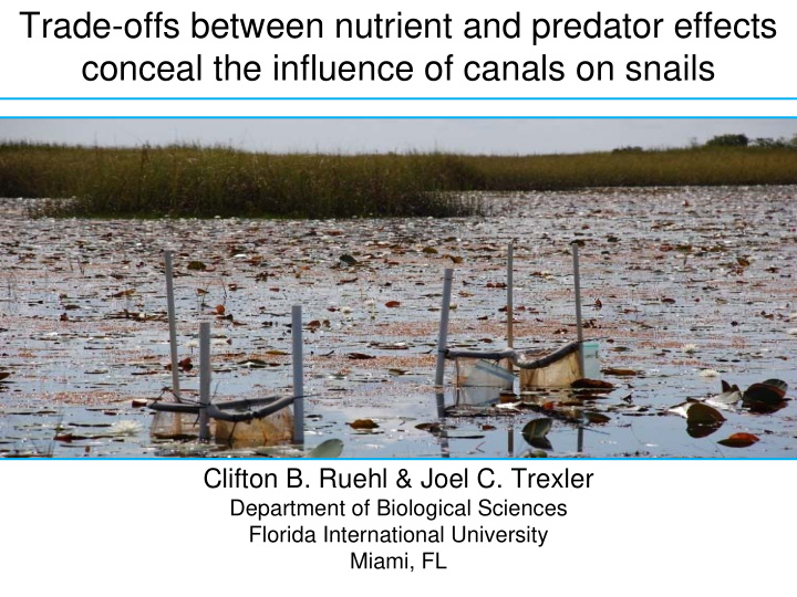 trade offs between nutrient and predator effects conceal