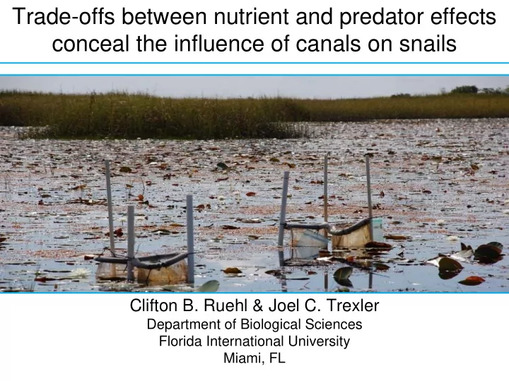 trade offs between nutrient and predator effects conceal
