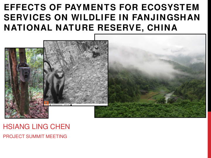 effects of payments for ecosystem services on wildlife in