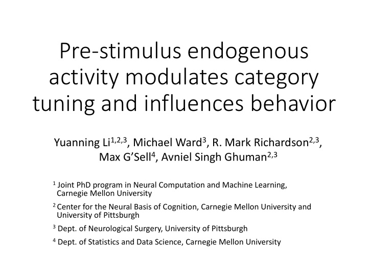 pre stimulus endogenous activity modulates category