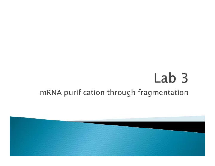 mrna purification through fragmentation distinct 28s