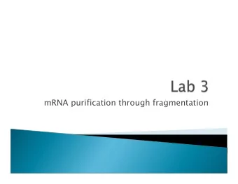 mRNA purification through fragmentation  Distinct 28S ribosomal  Distinct 18S  subunit (or prok.