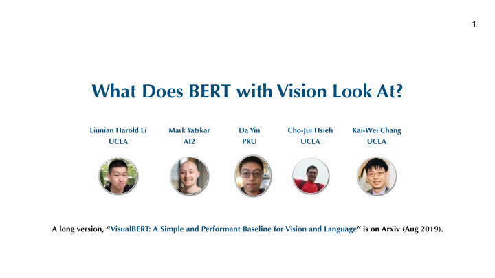 what does bert with vision look at