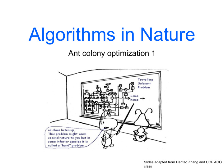 algorithms in nature