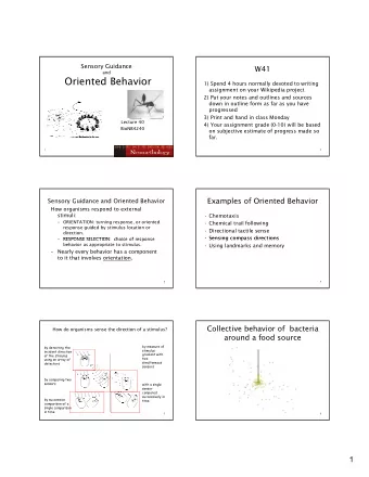 Oriented Behavior  1) Spend 4 hours normally devoted to writing  assignment on your Wikipedia