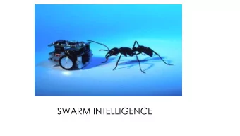 SWARM INTELLIGENCE  SWARM INTELLIGENCE  Ross Moon  CSCI 446: Artificial Intelligence  OVERVIEW