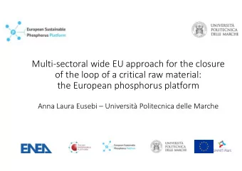 Multi-sectoral wide EU approach for the closure  of the loop of a critical raw material:  the