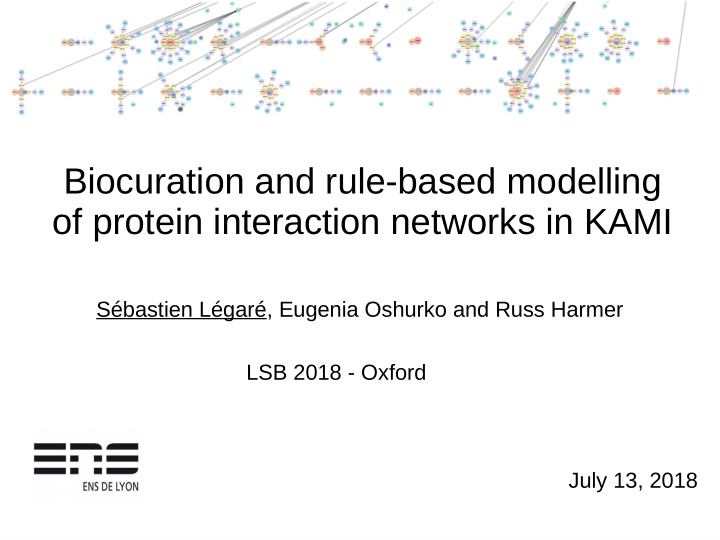biocuration and rule based modelling of protein