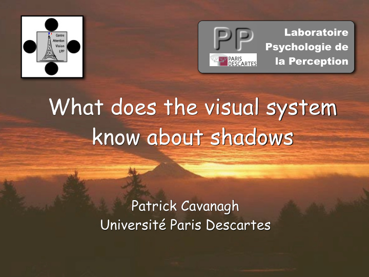 what does the visual system know about shadows