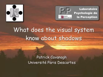 What does the visual system  know about shadows  Patrick Cavanagh  Universit Paris Descartes