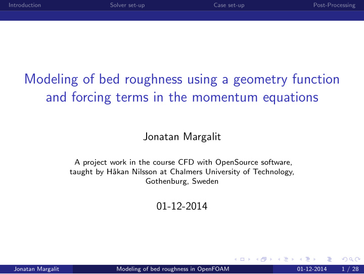 modeling of bed roughness using a geometry function and
