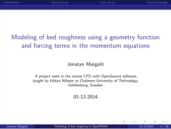 Modeling of bed roughness using a geometry function  and forcing terms in the momentum equations