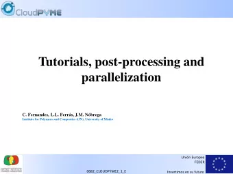 Tutorials, post-processing and  parallelization  C. Fernandes, L.L. Ferrs, J.M. Nbrega