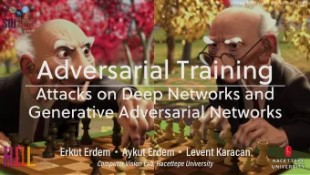Adversarial Training  Attacks on Deep Networks and  Generative Adversarial Networks Erkut Erdem
