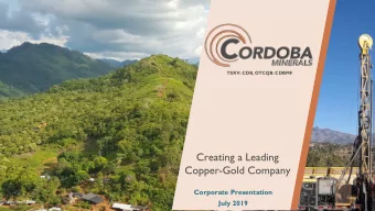 Creating a Leading  Copper-Gold Company  Corporate Presentation  July 2019  C  CAUTIONARY STATEMENT