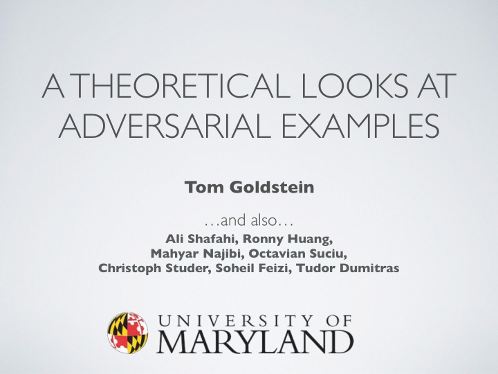 a theoretical looks at adversarial examples