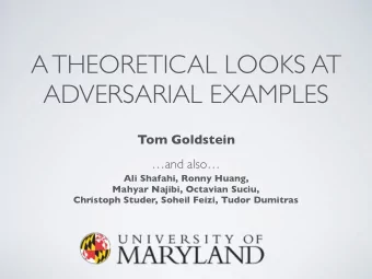 A THEORETICAL LOOKS AT  ADVERSARIAL EXAMPLES  Tom Goldstein  and also  Ali Shafahi, Ronny
